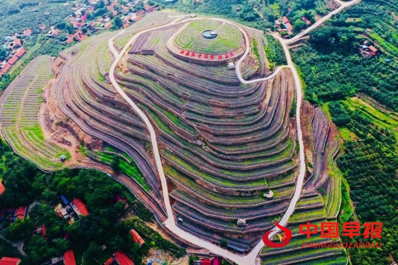 1767197697174258.jpg 1_副本.jpg