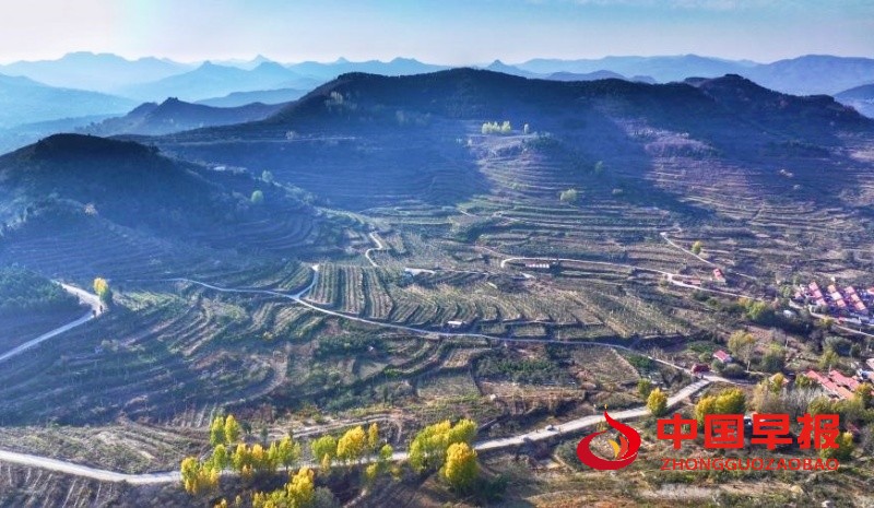 1767197705101482.jpg 2_副本.jpg